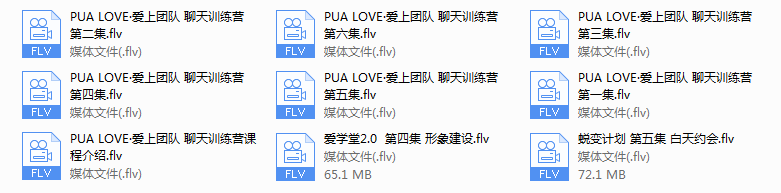 PUA LOVE·爱上团队 聊天训练营